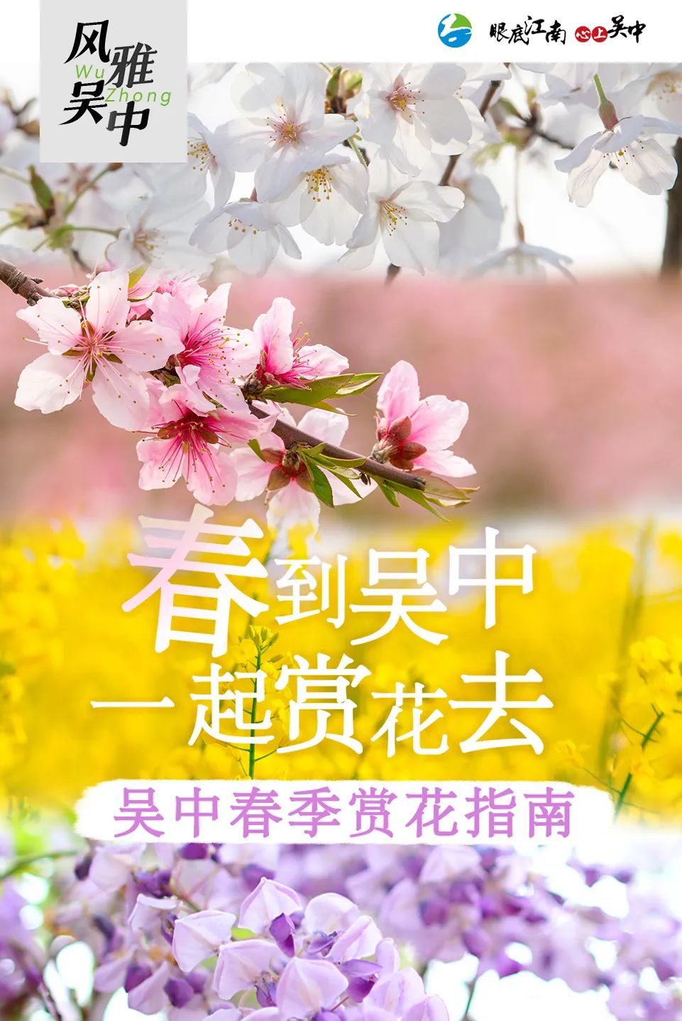 收藏这份赏花指南，奔赴最美春色~