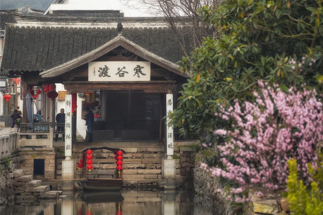 春日骑行，一起去追风~