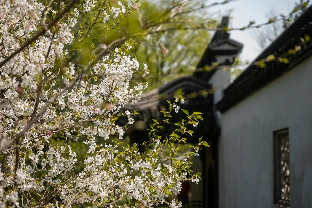 春日骑行，一起去追风~