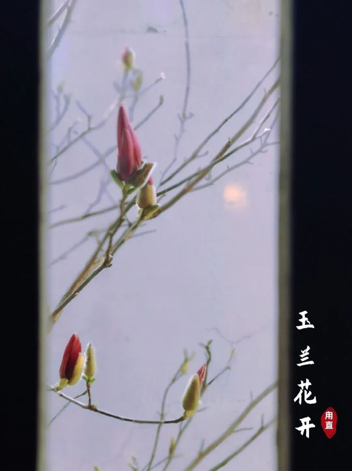 “玉”见江“兰”，春色如许