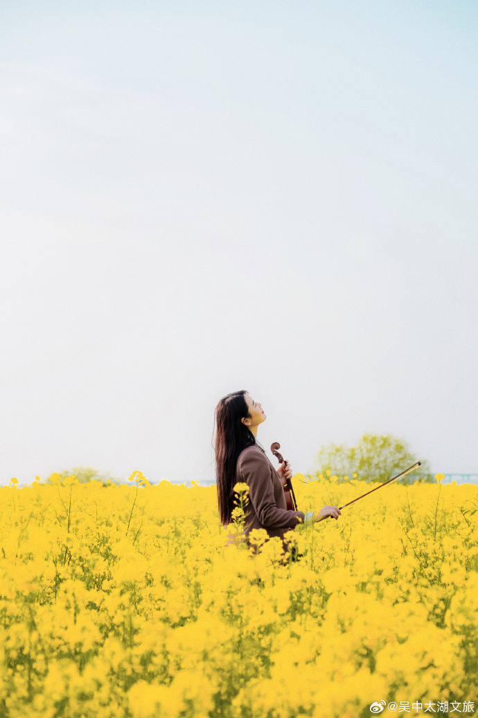 油菜花开啦！来这里奔赴一场金色花海