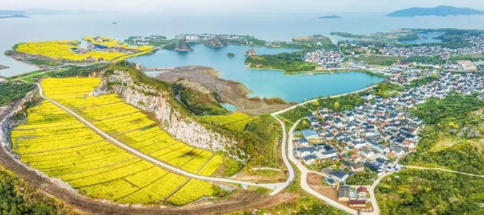这里靠山环太湖，油菜花开正盛，快来打卡！
