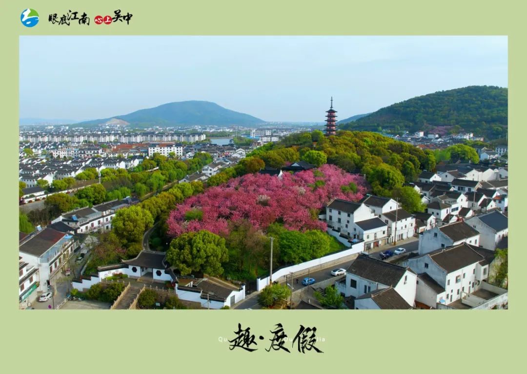 超100万！同比增长翻番！