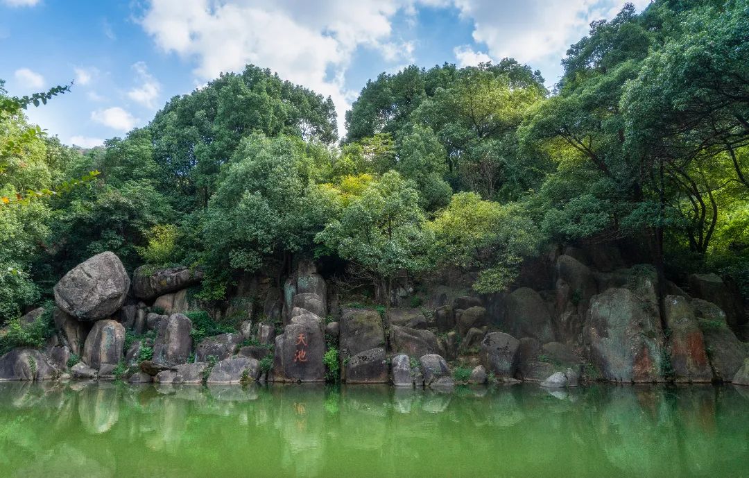 周末去爬山，登高揽春意~