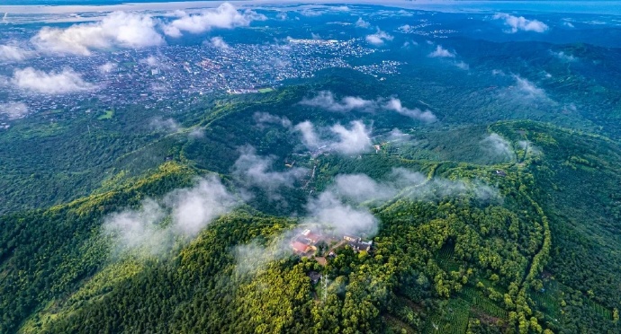 芳菲四月，这里杜鹃花开满山红