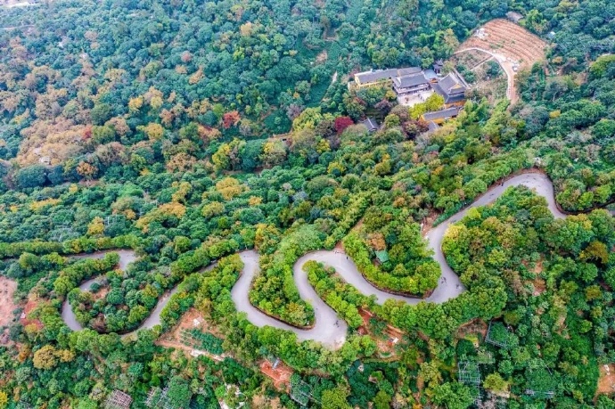 芳菲四月，这里杜鹃花开满山红