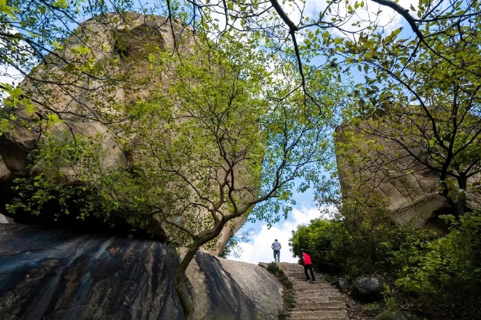 趁着天好登山去，来这里赏春意！