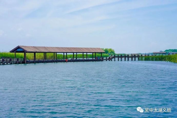 “湿”情画意在吴中，走进春日的太湖湖滨国家湿地