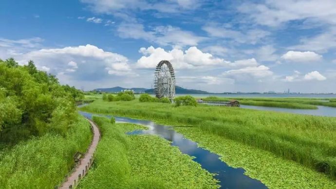 “湿”情画意在吴中，走进春日的太湖湖滨国家湿地