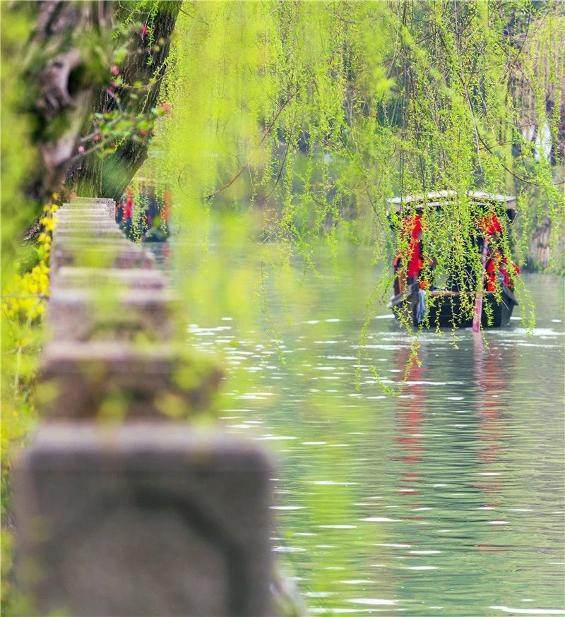 小桥流水摇橹船，风情万种游木渎
