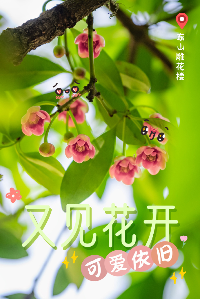 即刻出发！去看370余岁的“她”