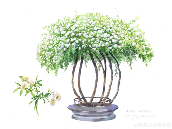 “树碑立传”特展今日开展啦！