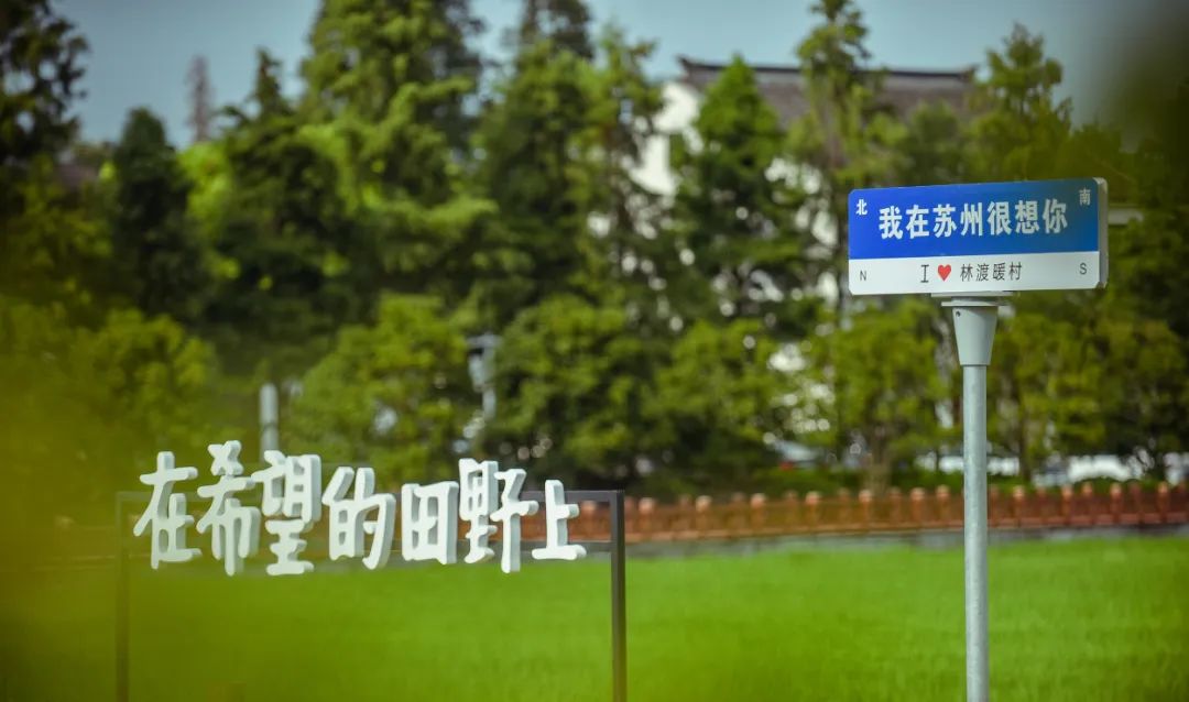 快看！这片树林有“魔法”~