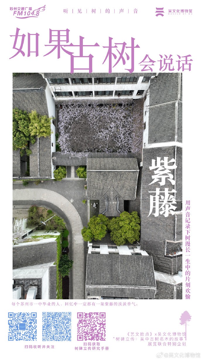 如果树会说话，会说些什么呢？一起来听树的声音吧！