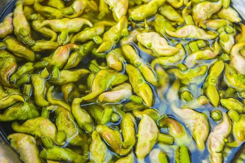 菱角：鲜落落、水灵灵，清甜上市~