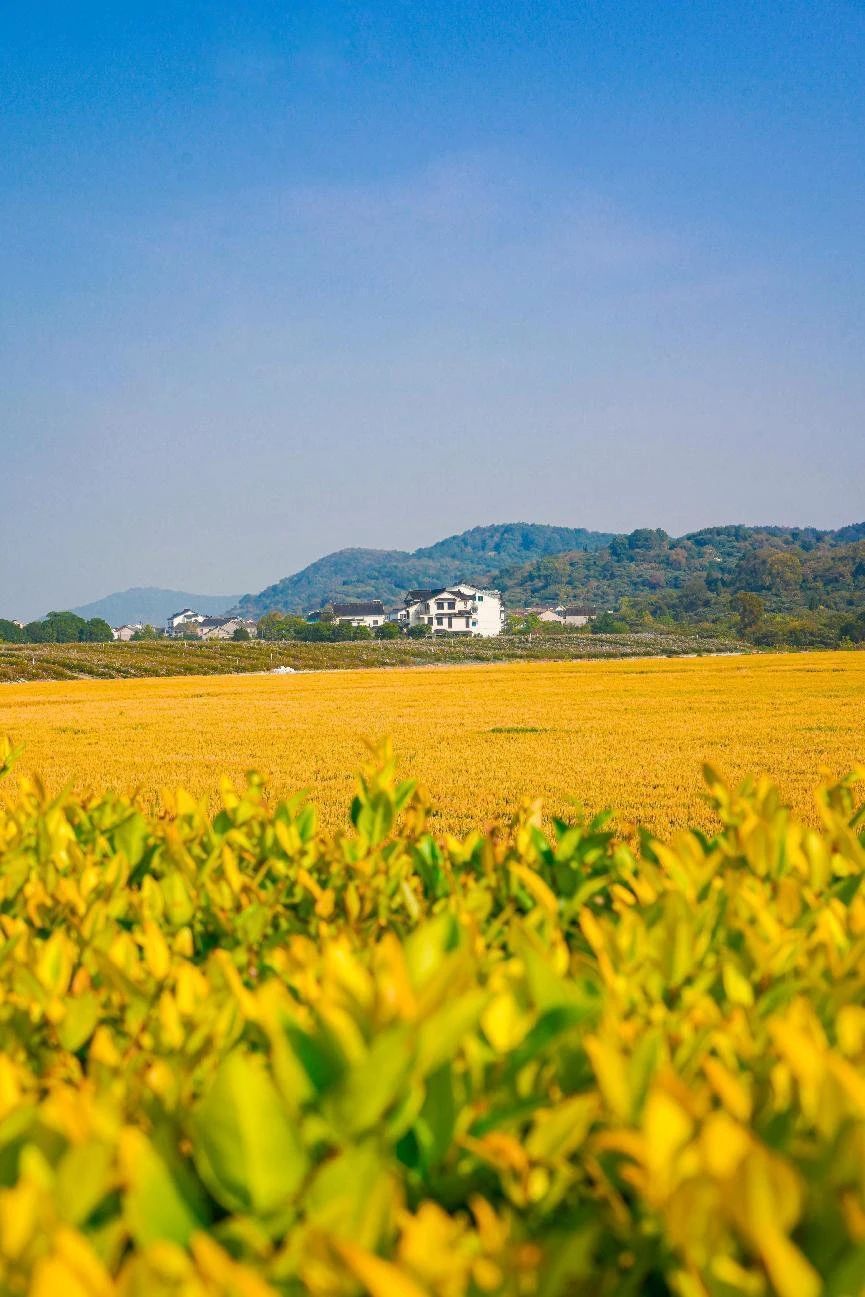 一起来解锁西山岛秋景关键词