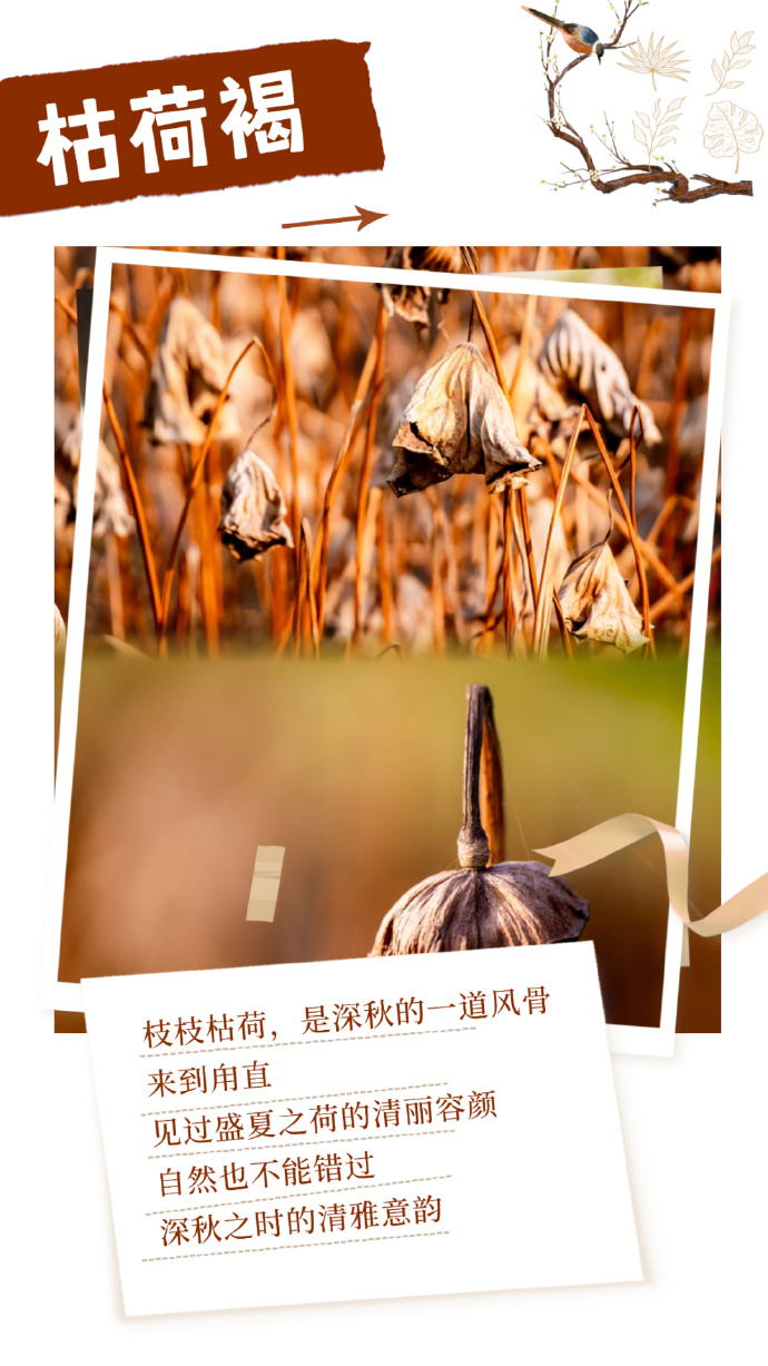 人生充满“Passion”，甪直最是“出色”