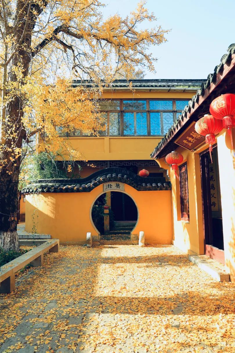 自带滤镜！吴中初冬的美，藏不住啦~
