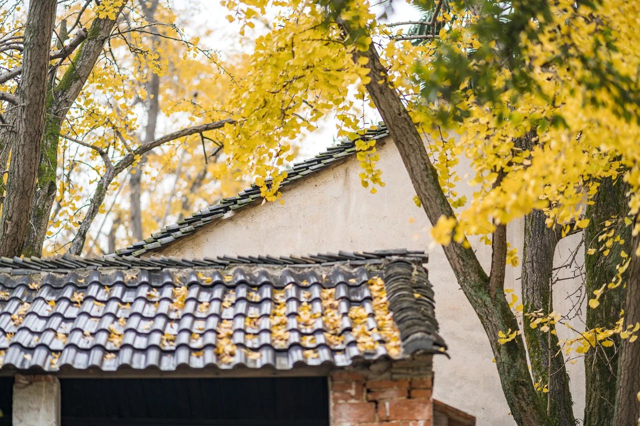 来西山岛晒太阳吧~