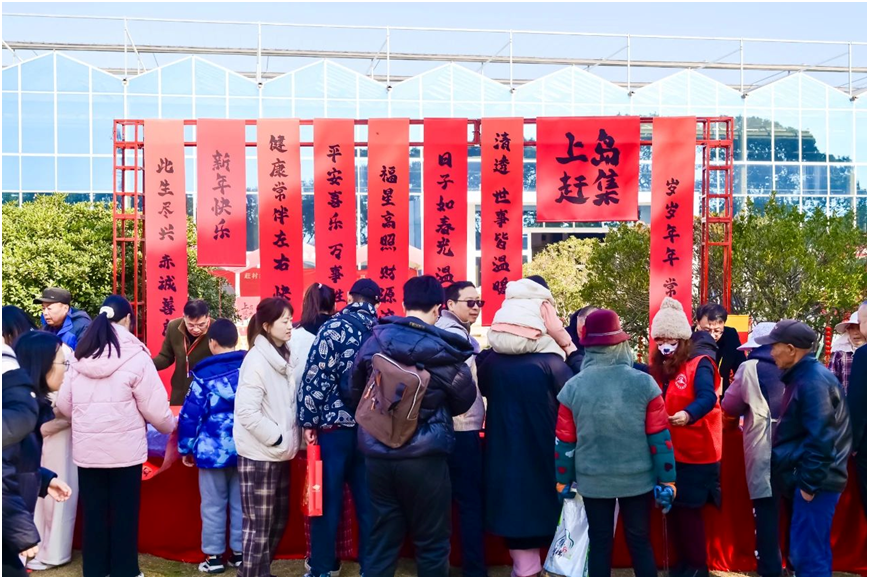 “赶村集•寻村味 上岛过大年”春节活动暨2025苏州太湖村厨大赛圆满举办