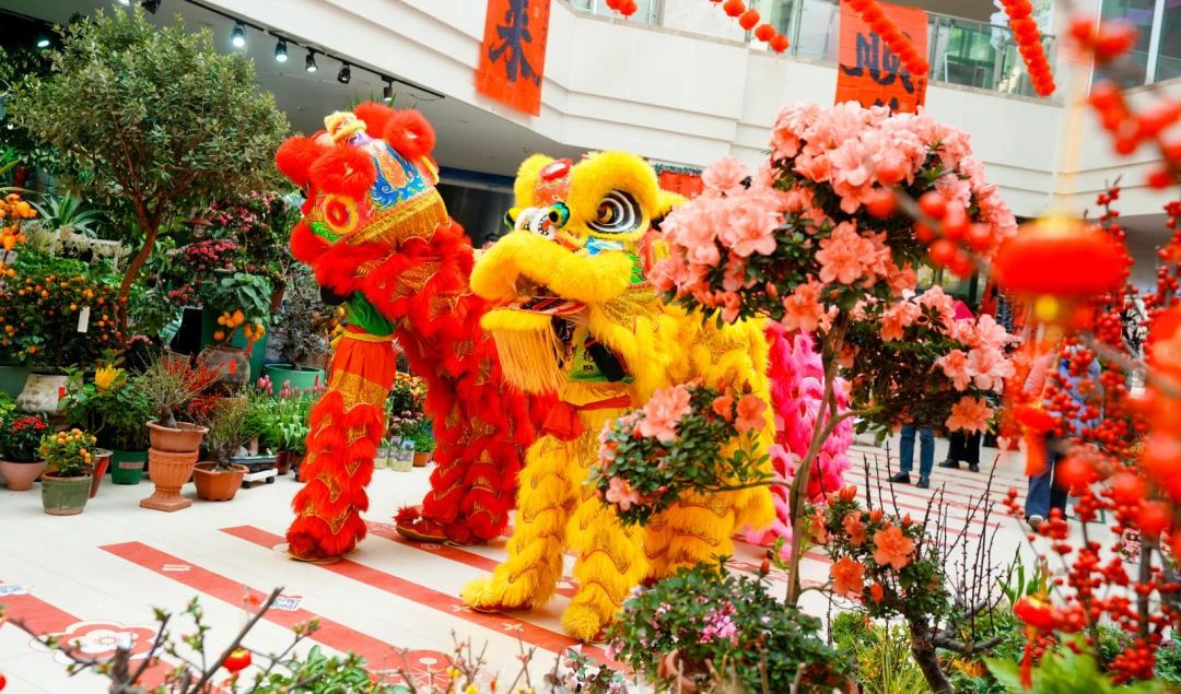 非遗贺新春，古城过大年！