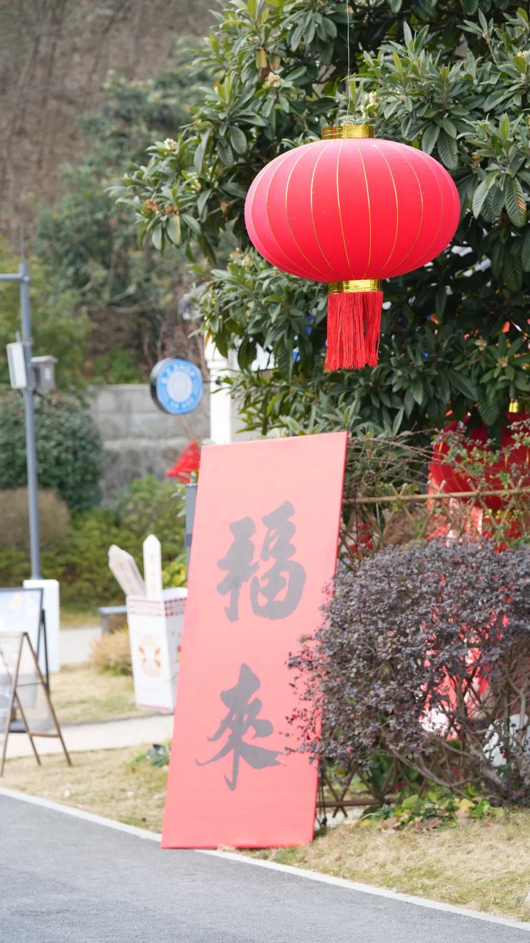 苏州太湖新年浓度已经10000%