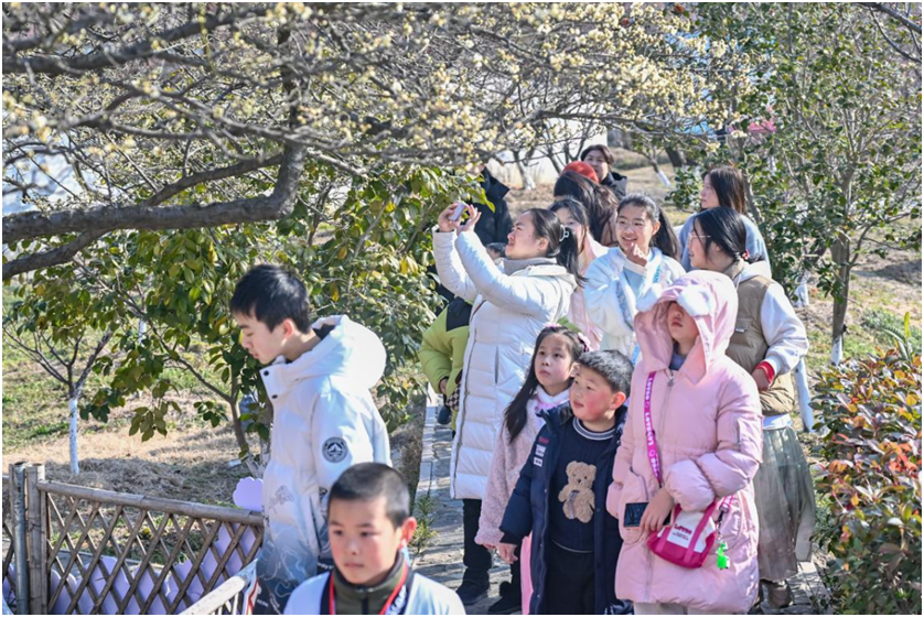岛沐书香，“梅”美与共——金庭镇全民阅读活动在林屋梅海展开