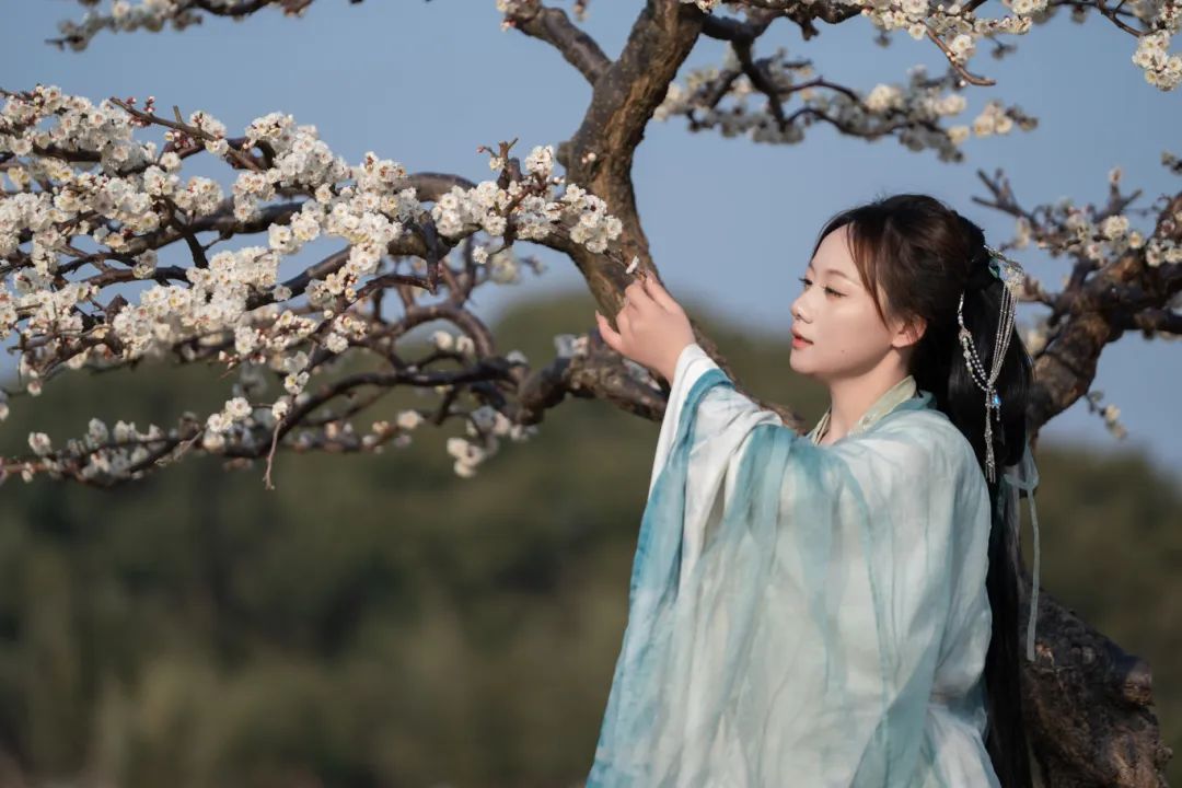 唱游香雪海，品赏太湖春，《香雪海》原创歌曲及MV应景出炉！