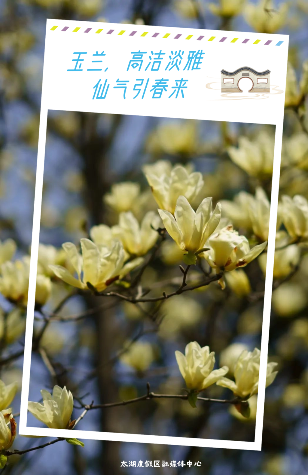 太湖顶流，即将开爆！