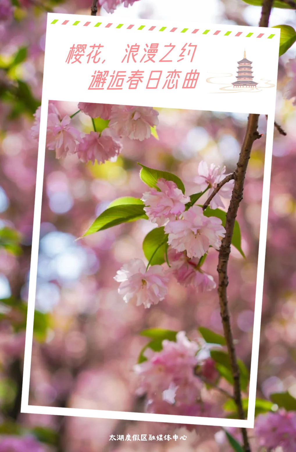太湖顶流，即将开爆！