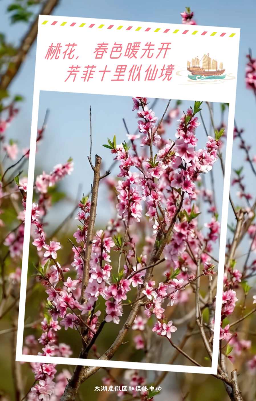 太湖顶流，即将开爆！