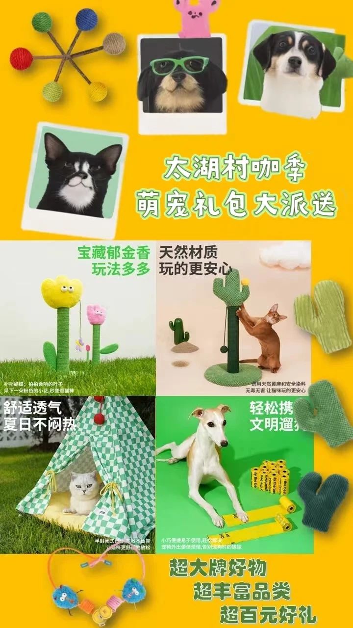 萌爪出街！太湖村咖季喊你带“毛孩子”C位出道啦~