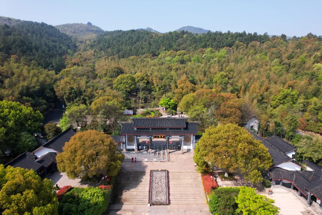 春山醒，茶事盛，一起赏尽吴中春光~