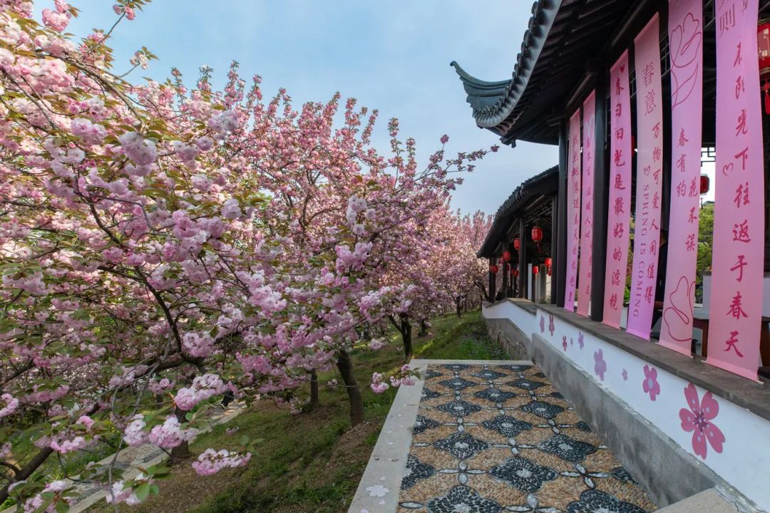 避开人潮，错峰寻美