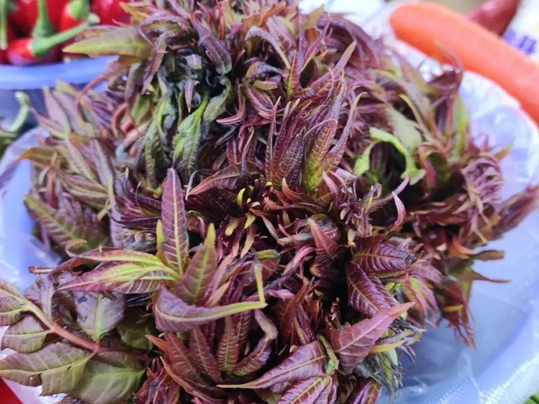 馋哭！这口春味你尝了没？