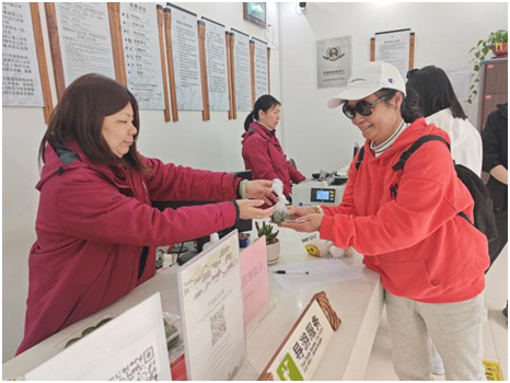 天池山“青团赠春意”活动圆满举行