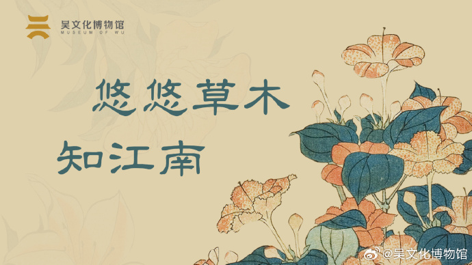 阿爹好婆，来苏州吴文化博物馆上课啦！