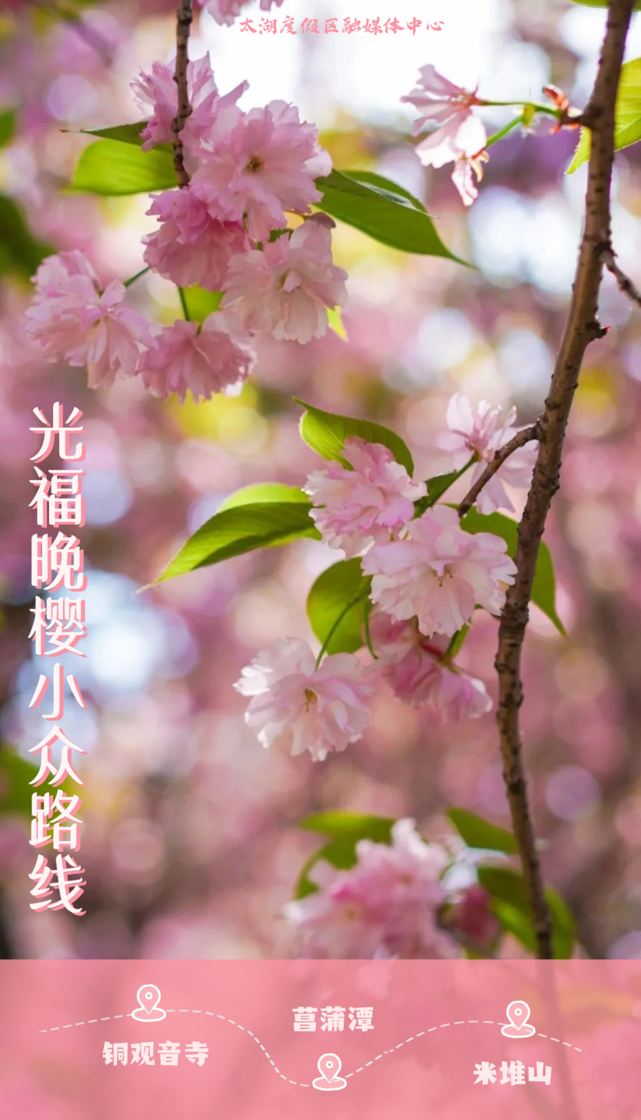 私藏路线！太湖花色！