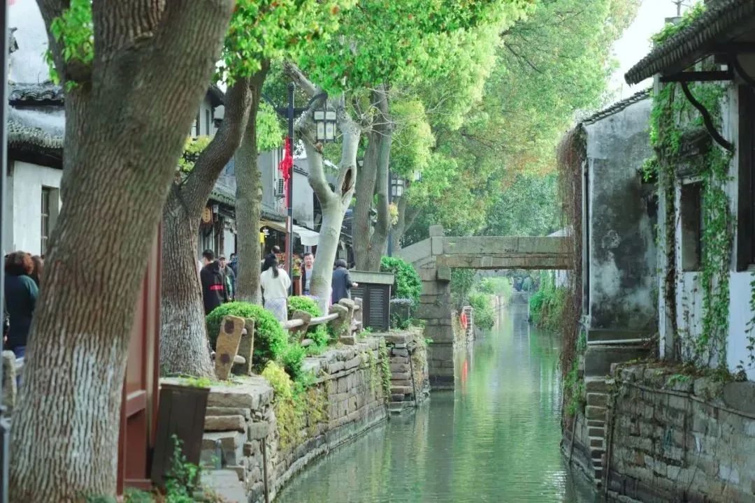 不入江南，怎知甪直春色如许