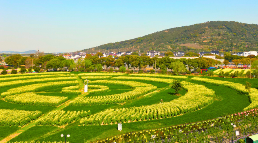 春游“趣”西山岛咯~