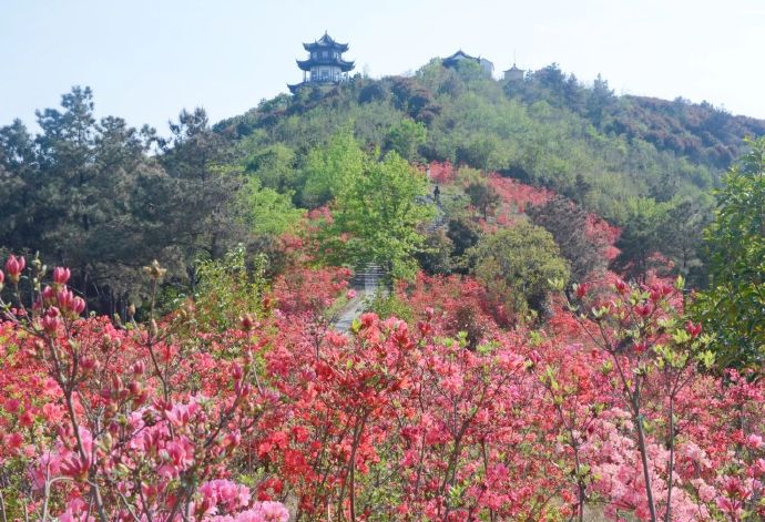上岛开启登山踏青计划！
