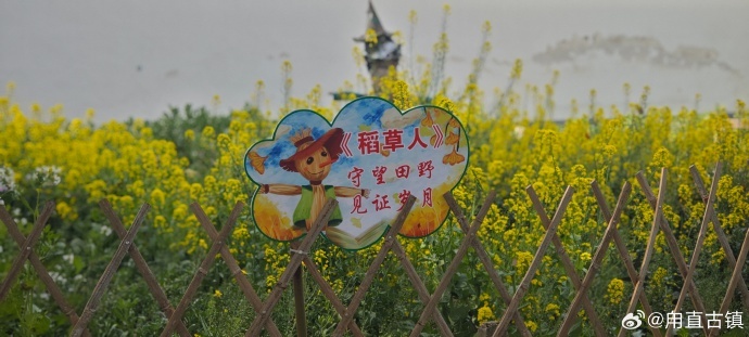 漫步叶圣陶小道，邂逅“一代师表”的旧日时光