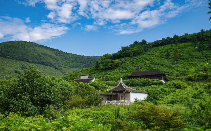 上岛赴一场山坞骑游寻茶之旅