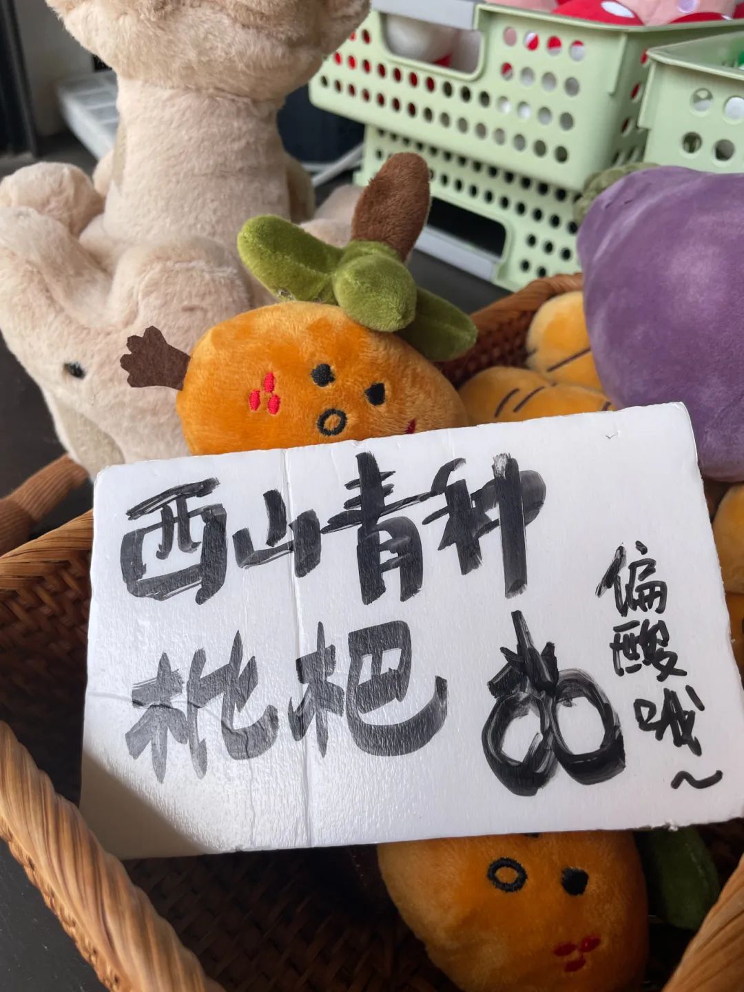 春风又绿金铎岭！解锁乡村振兴新密码！