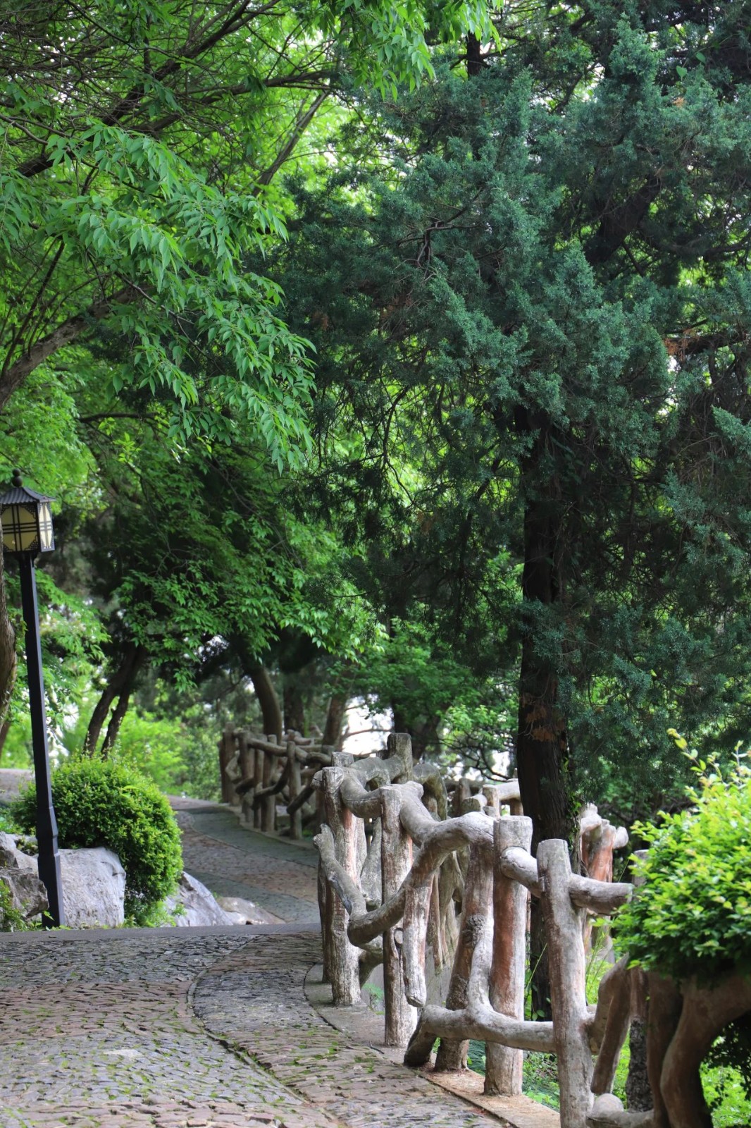 “春日律动”，快来接住满屏绿意！