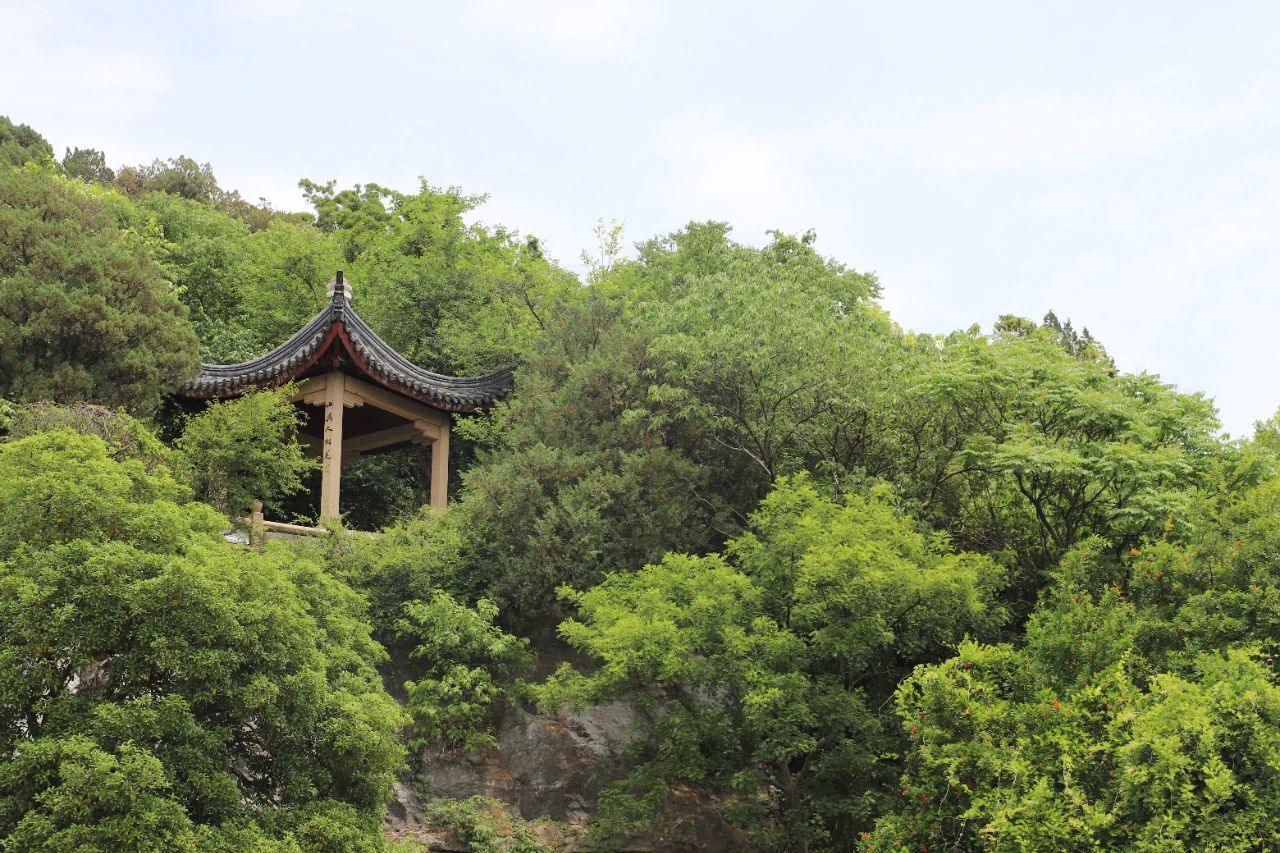 初夏的西山岛，到底有多少种颜色？