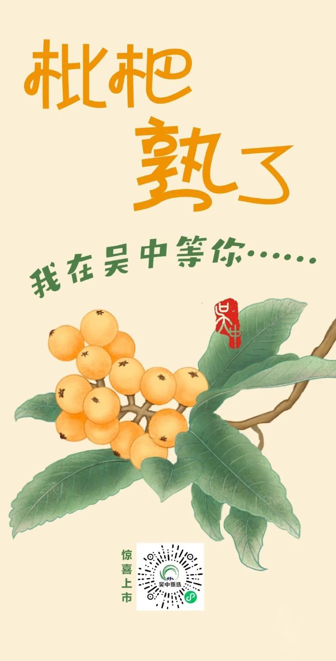枇杷采摘线路！除了东、西山，还有一处宝藏地！