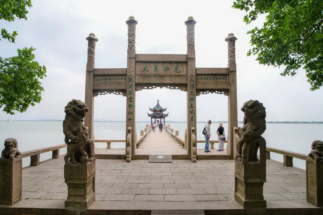 东山枇杷采摘线路