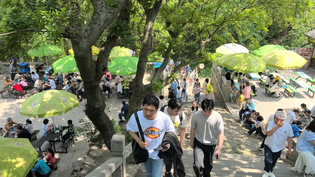 当“粽子”遇上“棒棒糖”！吴中双节狂欢乐不停！