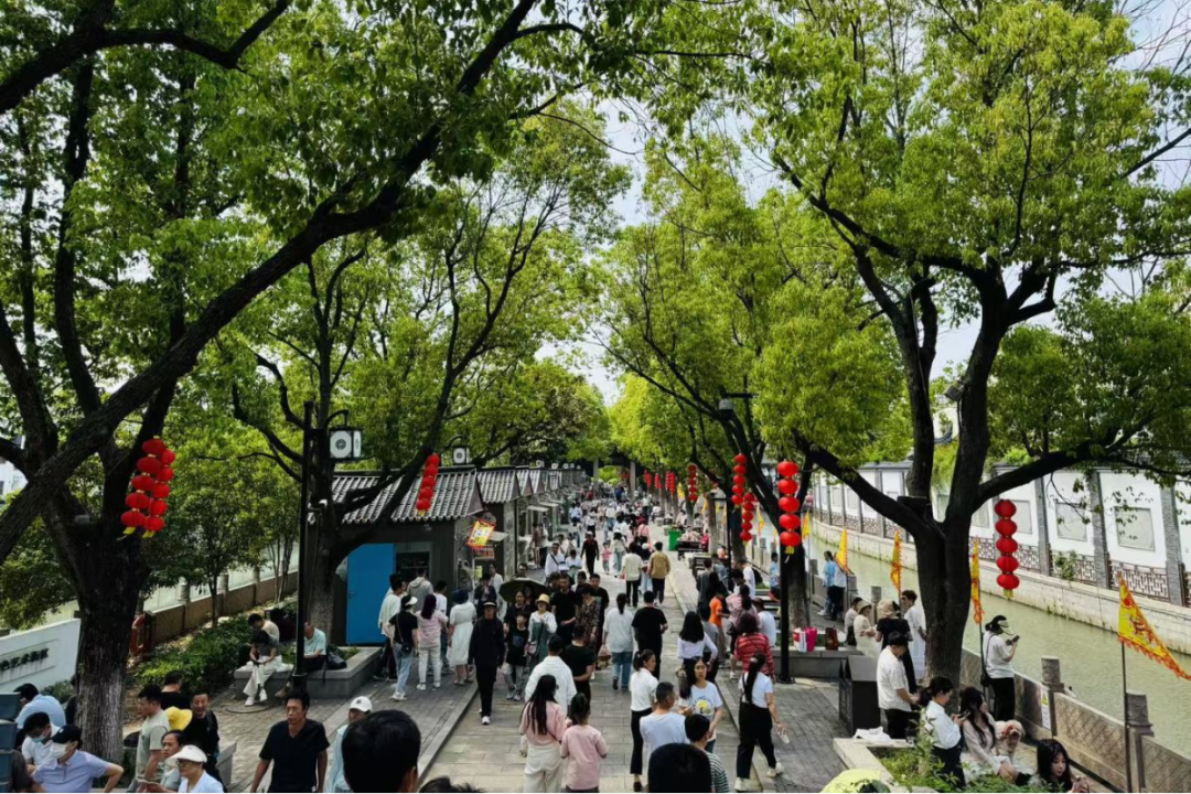 当“粽子”遇上“棒棒糖”！吴中双节狂欢乐不停！